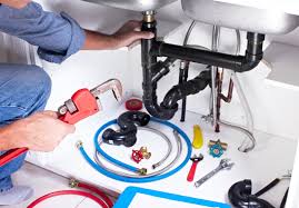 Best Commercial Plumbing Services  in Adrian, MN